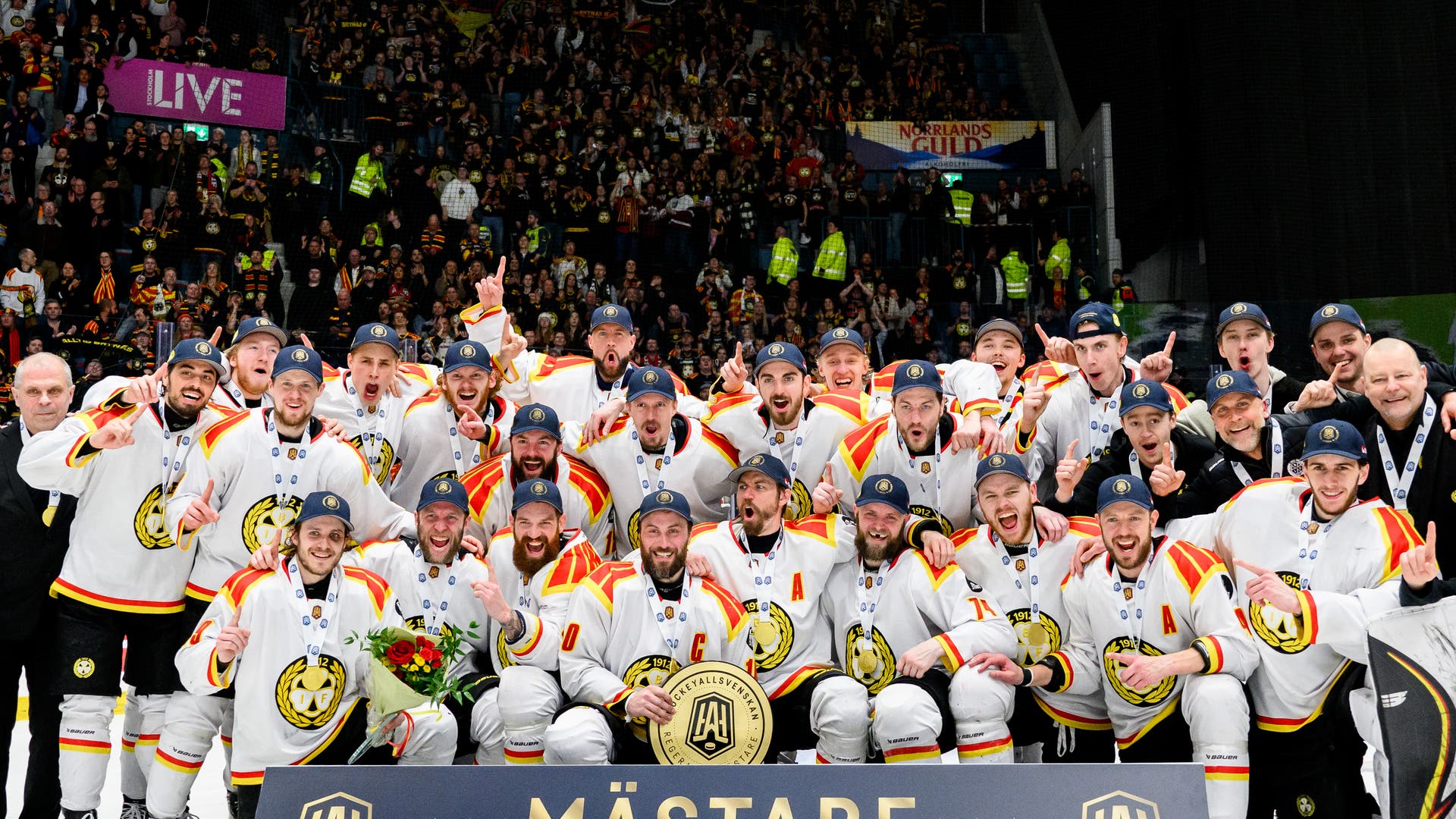Brynäs avancemang