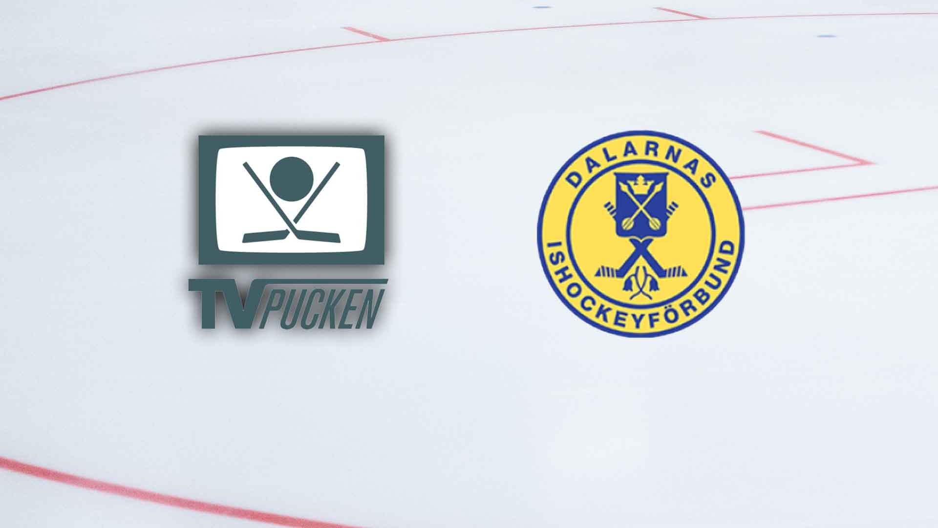 TV-pucken Dalarna