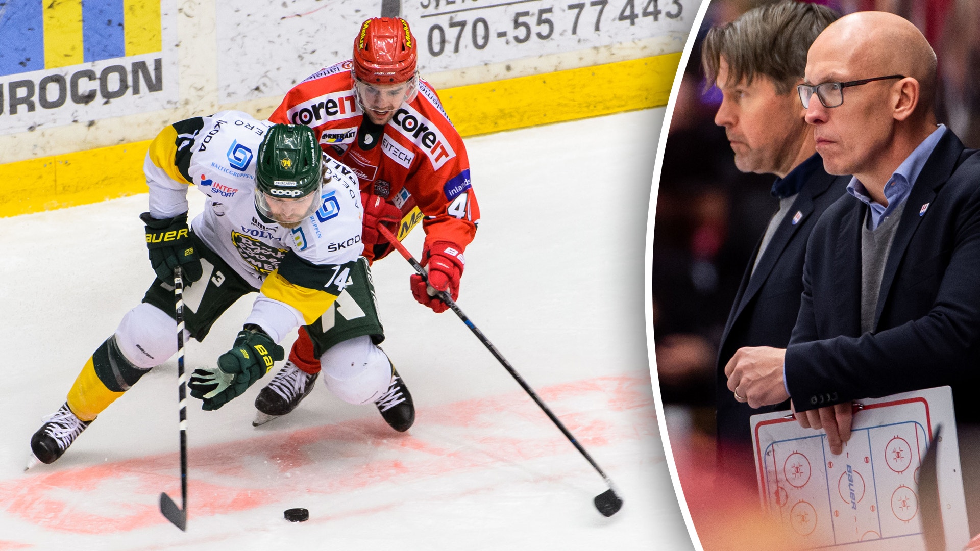 (14846) ModoLöven-Freddan