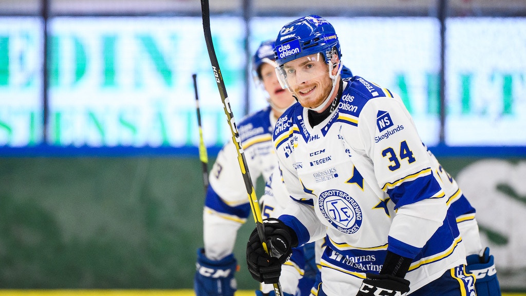 (15184) Peter Cehlarik/Leksands IF