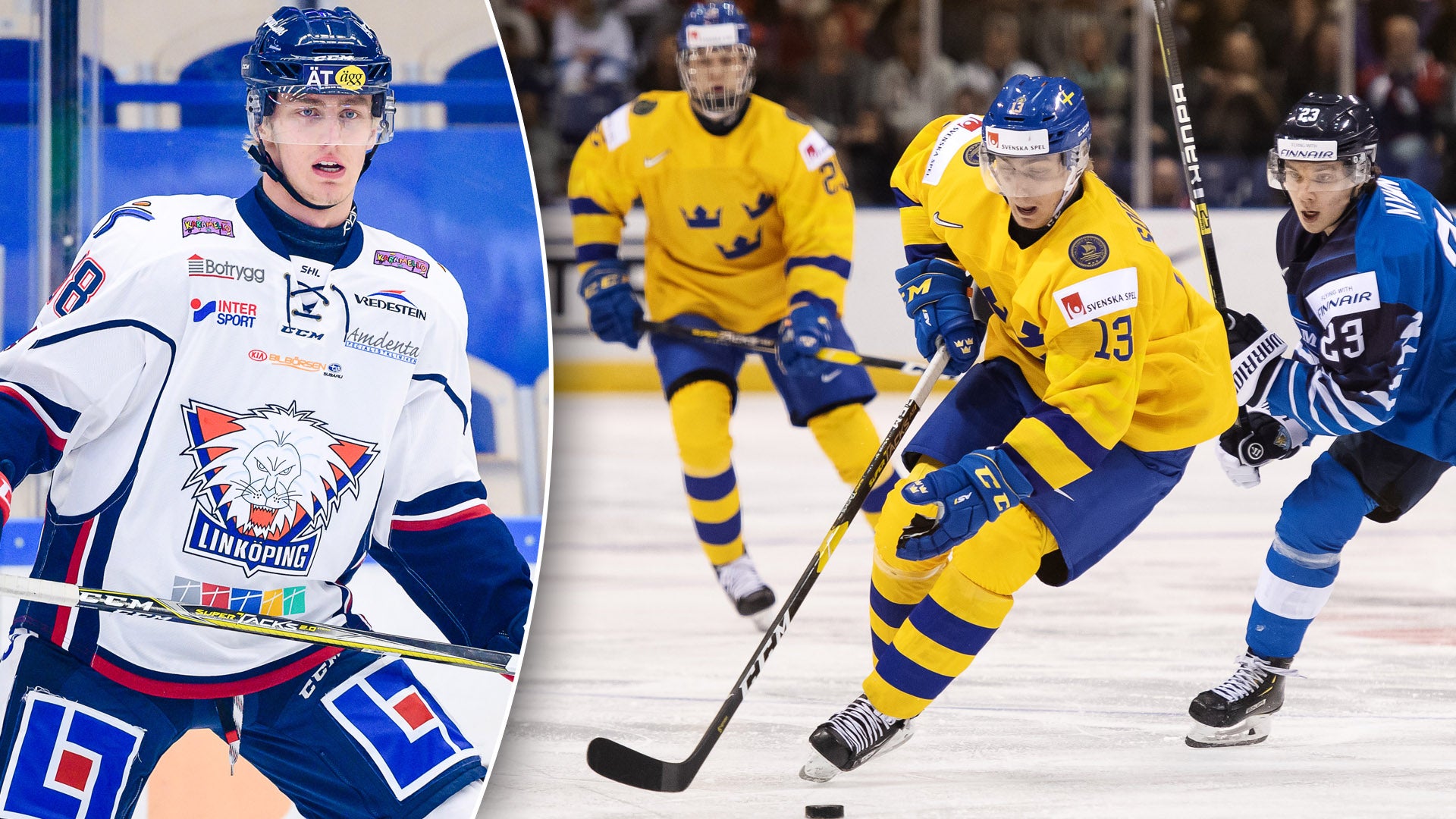 (17255) Johan Södergran