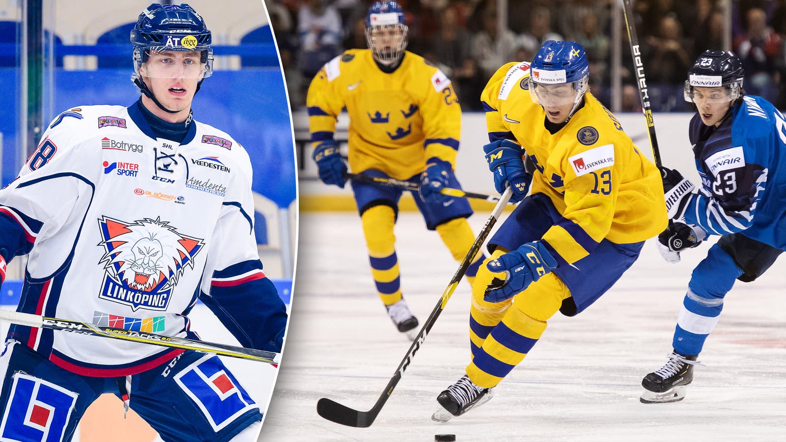 (17255) Johan Södergran