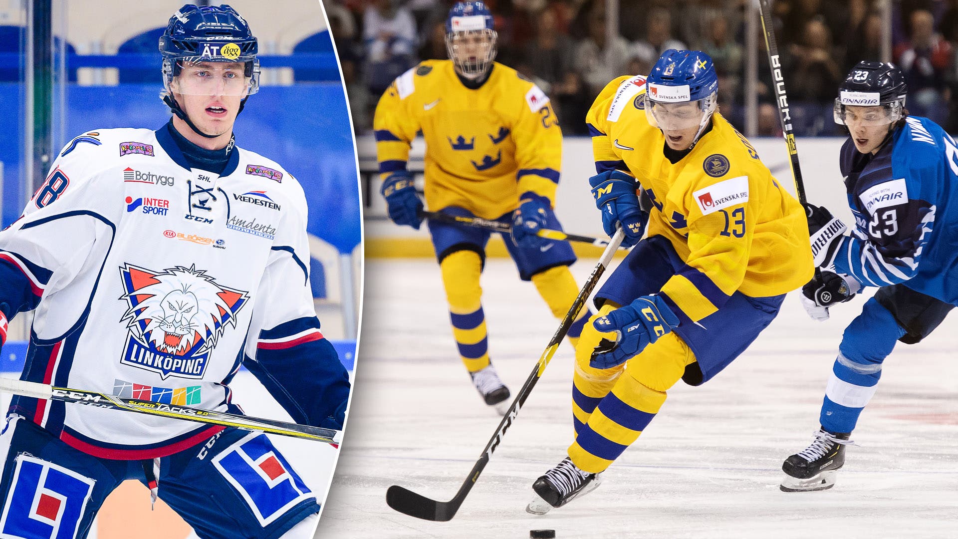 (17255) Johan Södergran