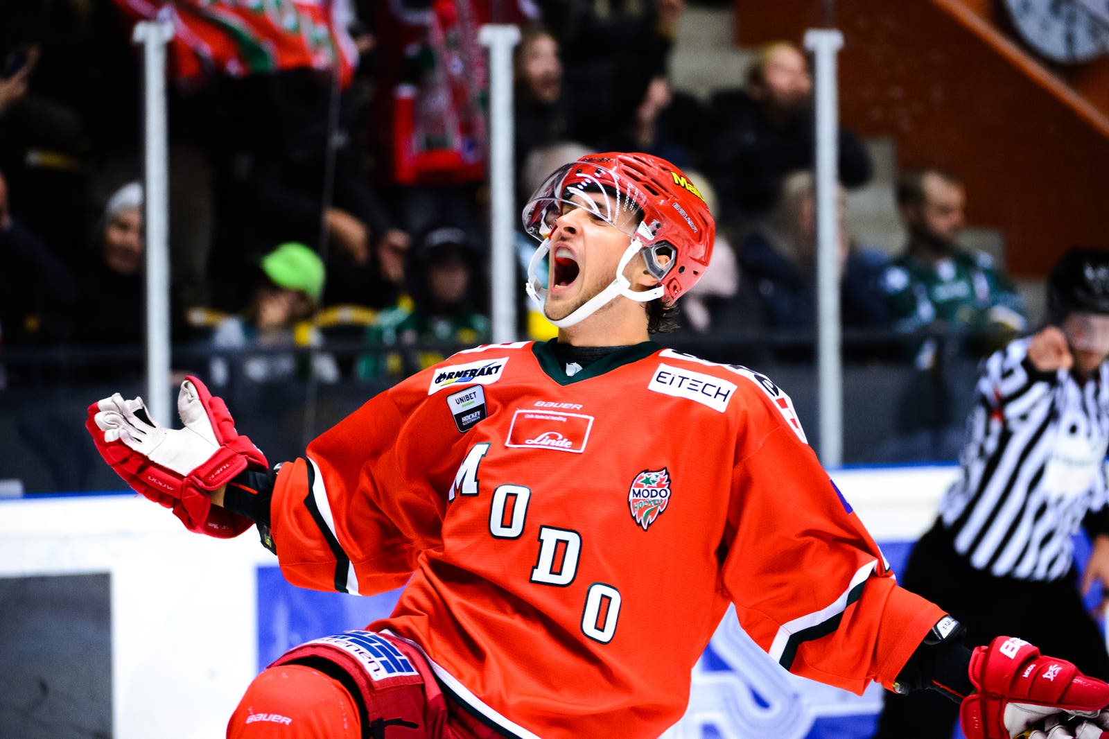 (13511) Mathias From