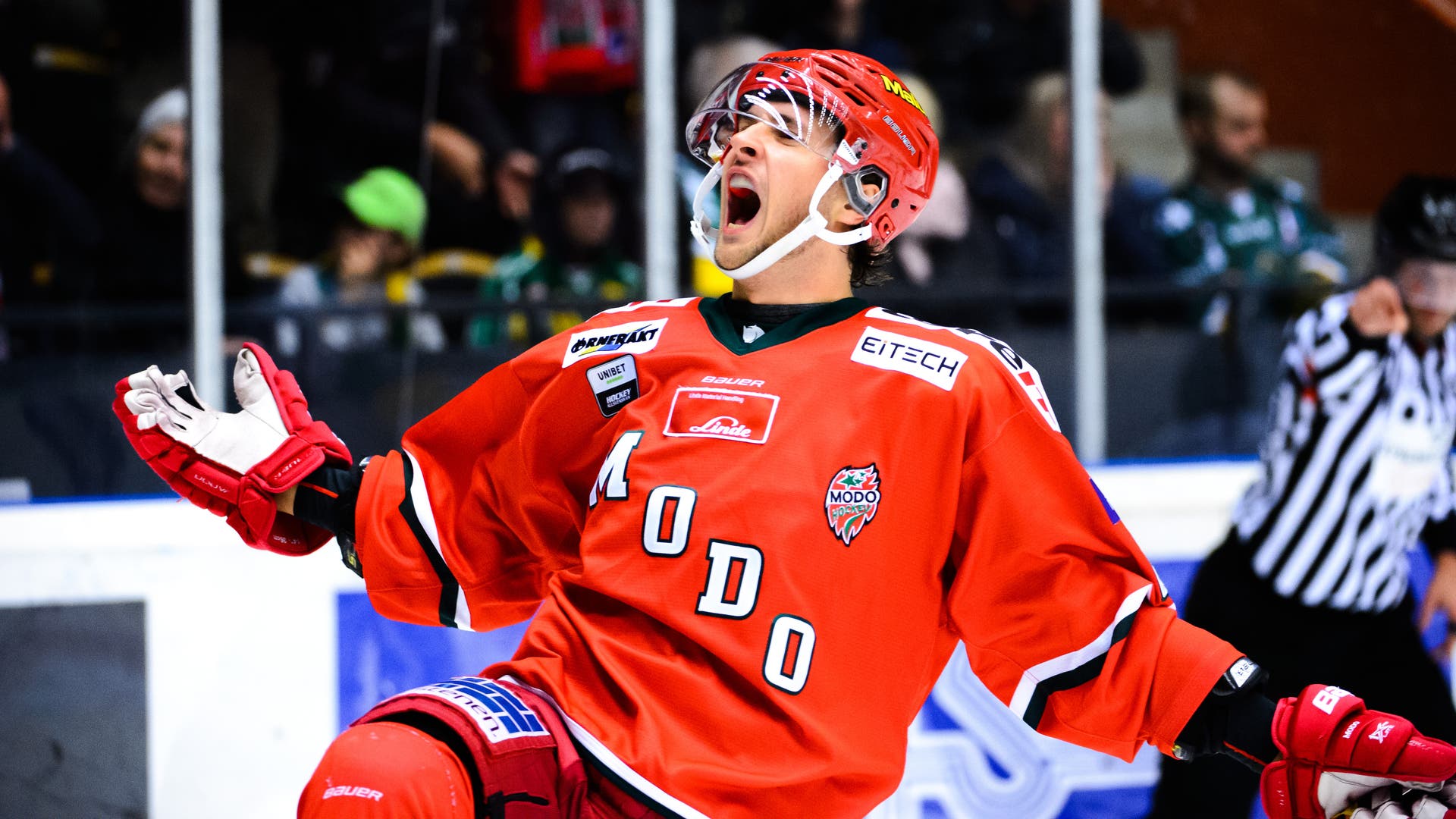 (13511) Mathias From