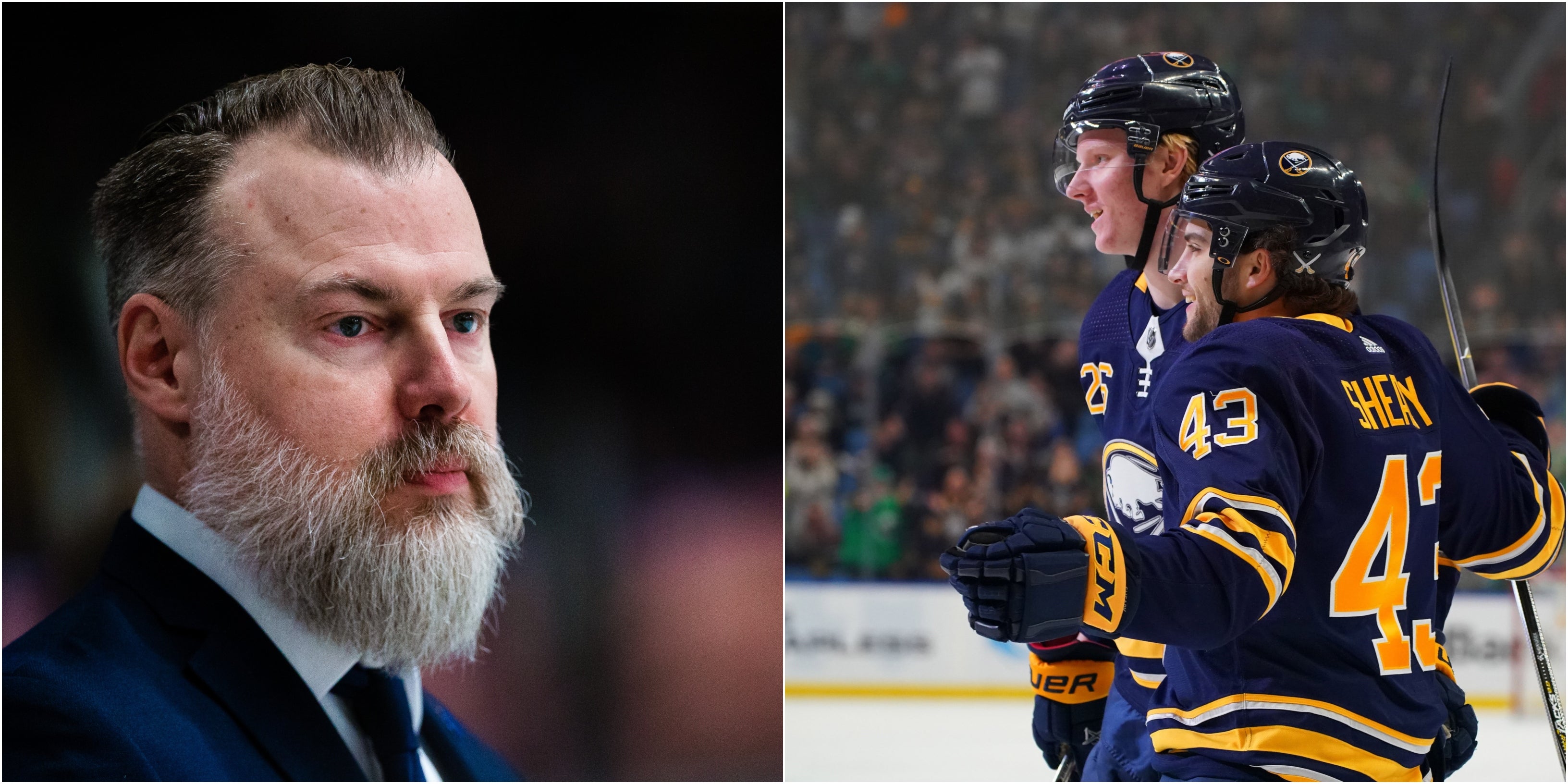 (8151) Sabres Grönborg