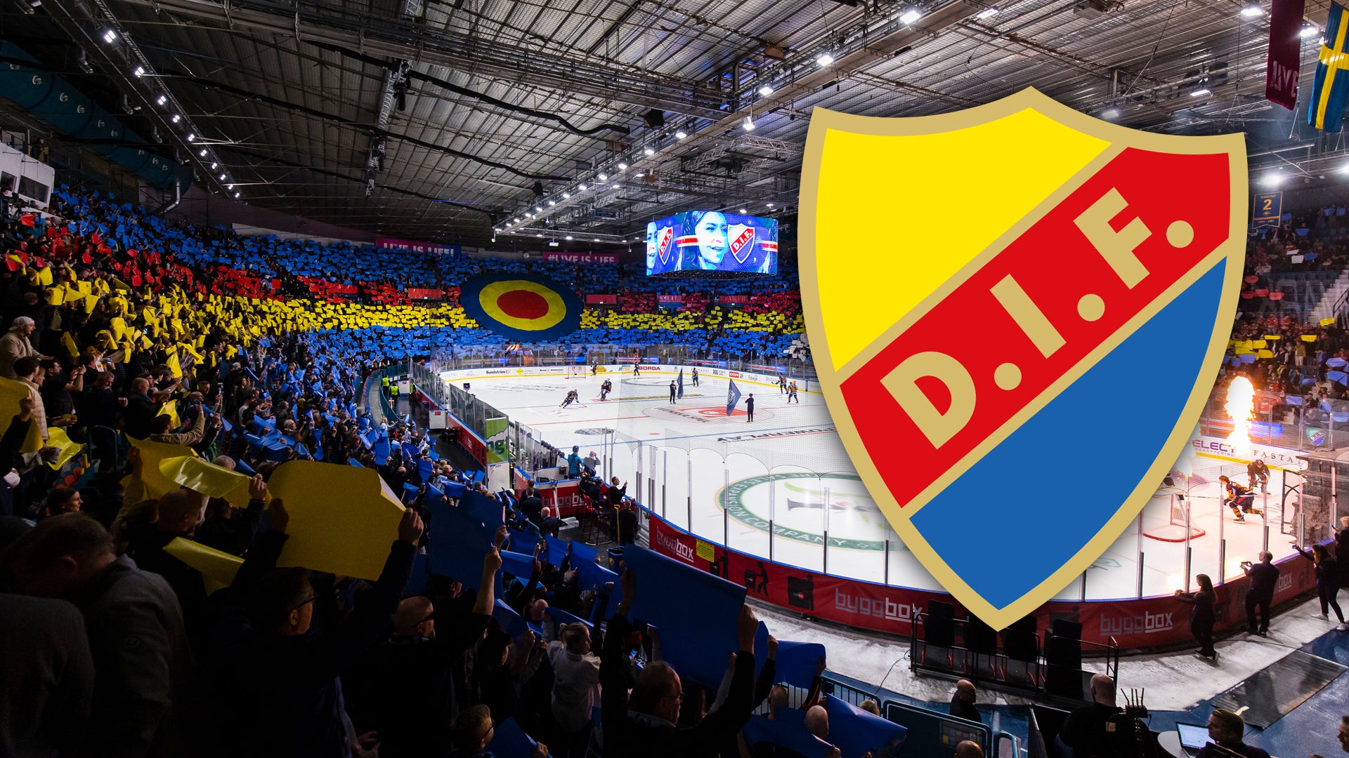 (28433) Djurgården-Hovet