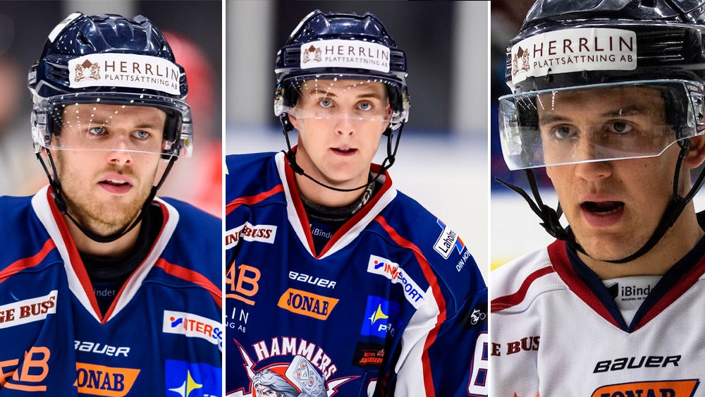 Montage Bildbyrån/Swepres