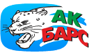 Ak Bars Kazan