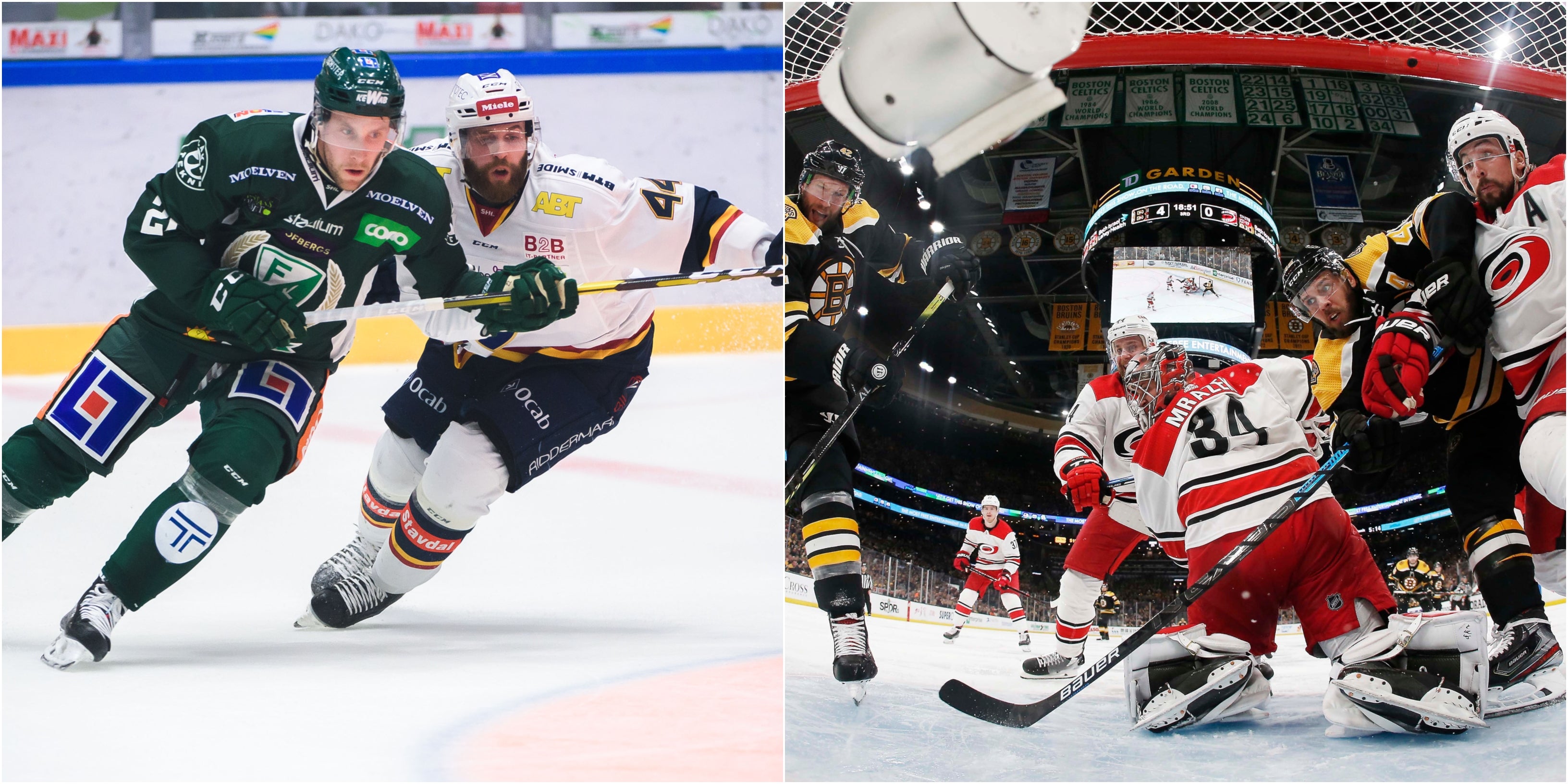 (8556) SHL/NHL