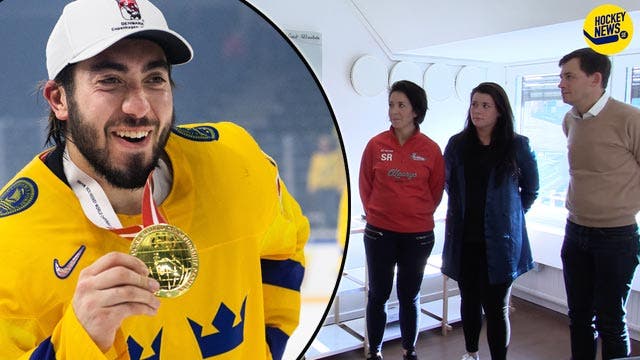 (4662) Zibanejad-flickhockey