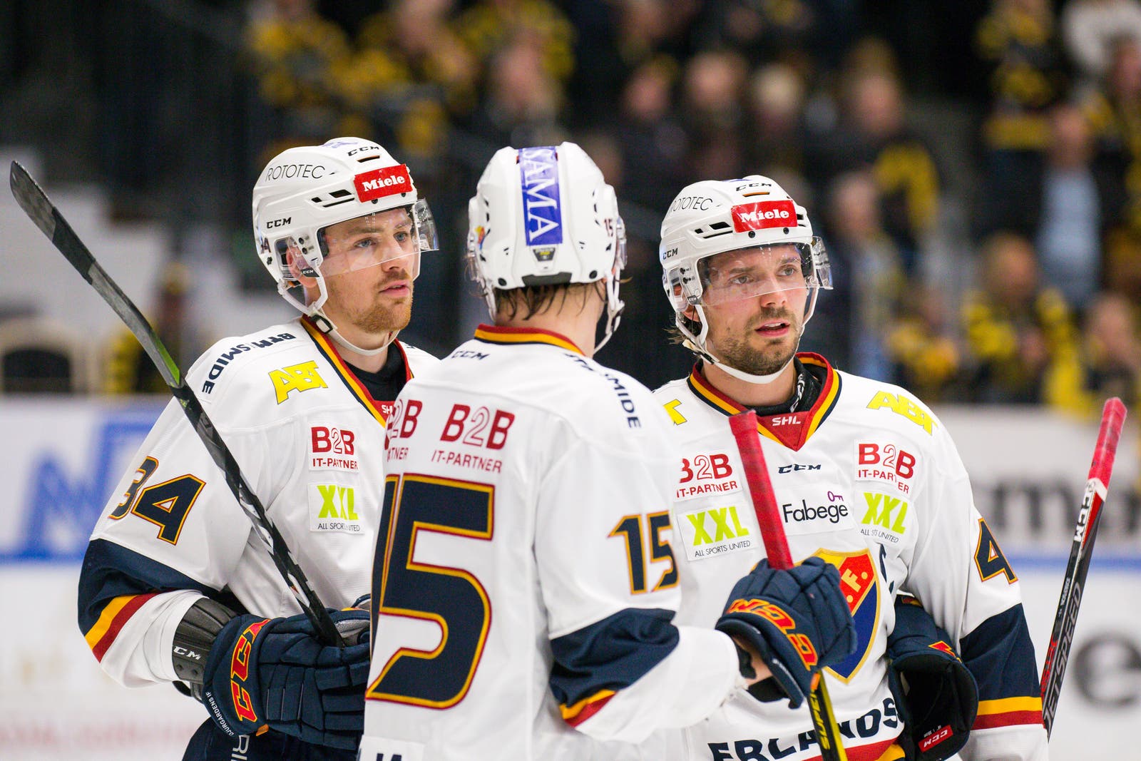 (4596) Djurgårdens förstakedja