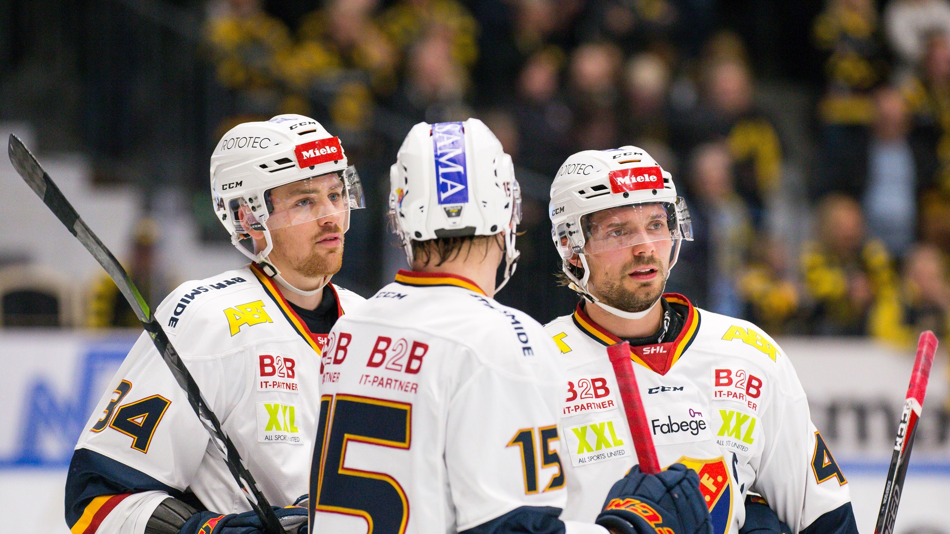 (4596) Djurgårdens förstakedja