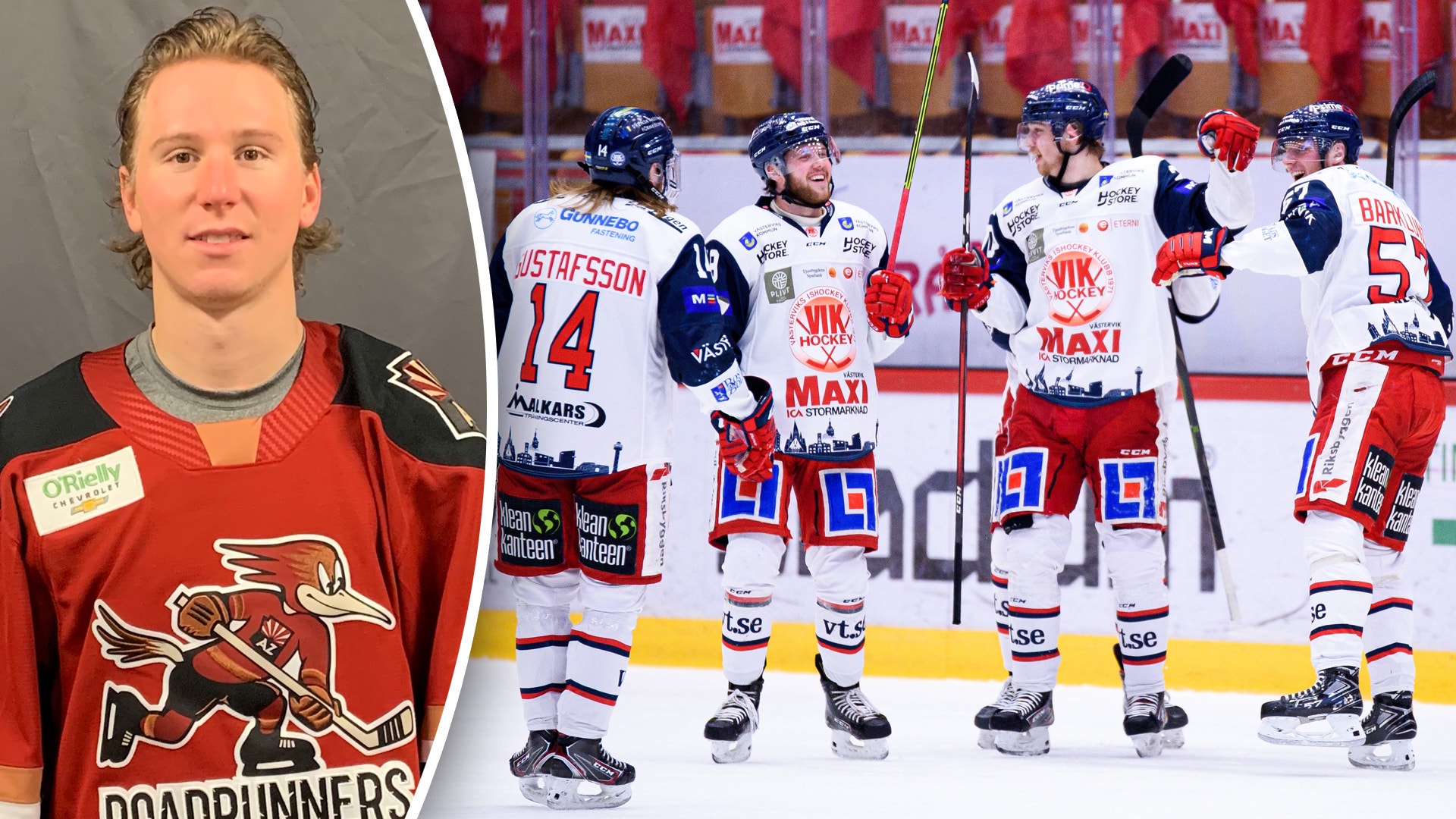 Tucson Roadrunners/Bildbyrån (montage)