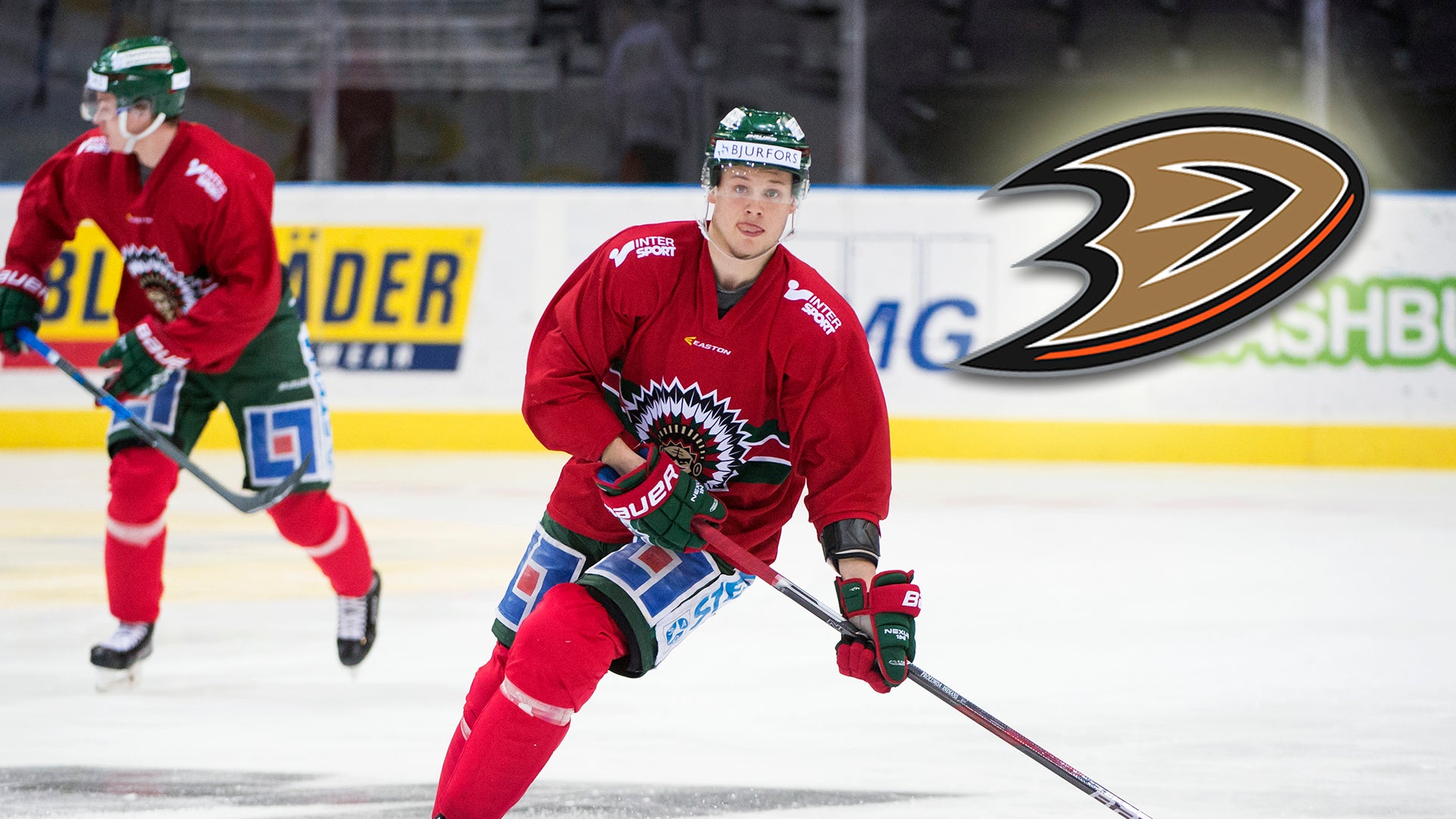 (354) Jacob Larsson Ducks