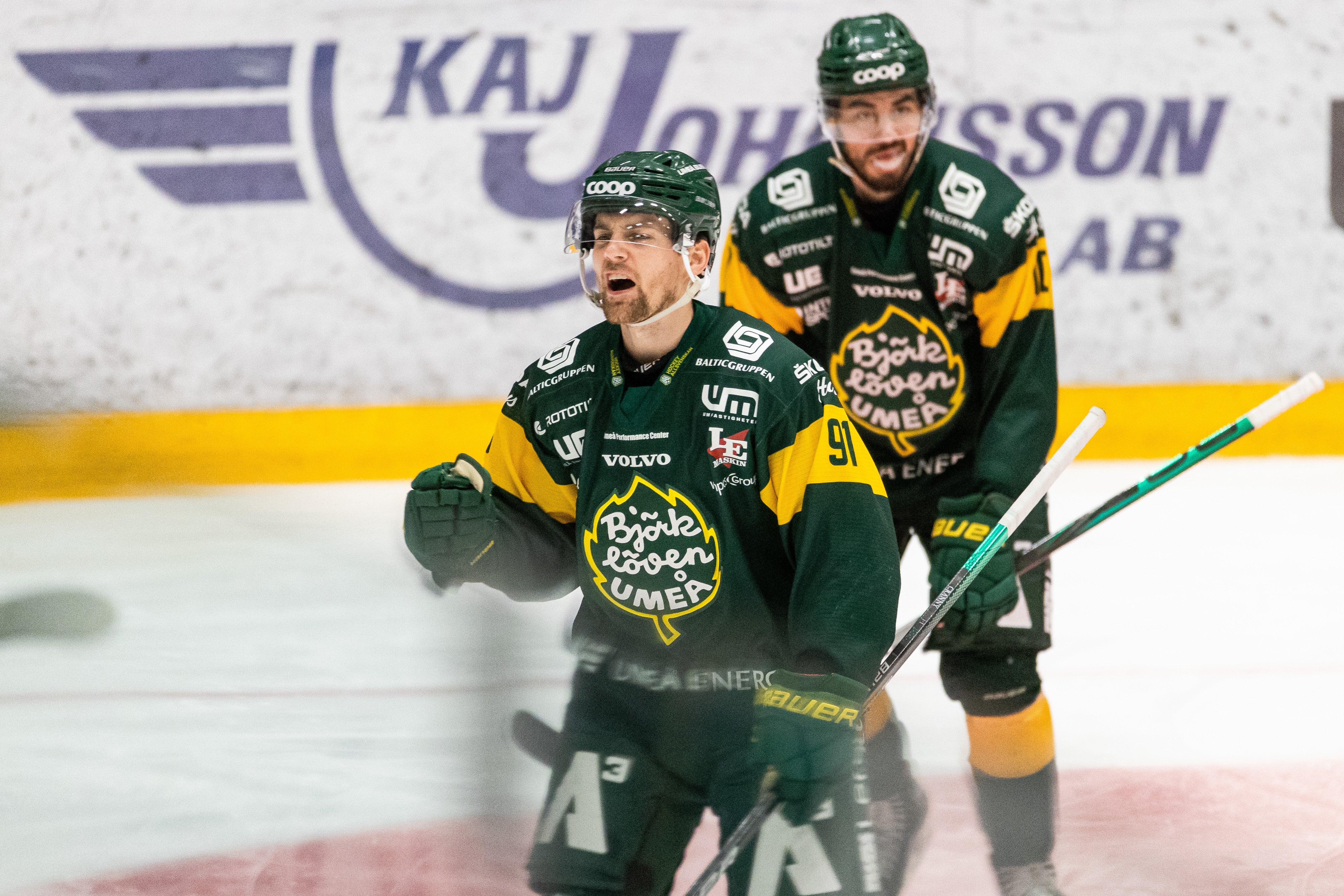 (18762) Björklöven