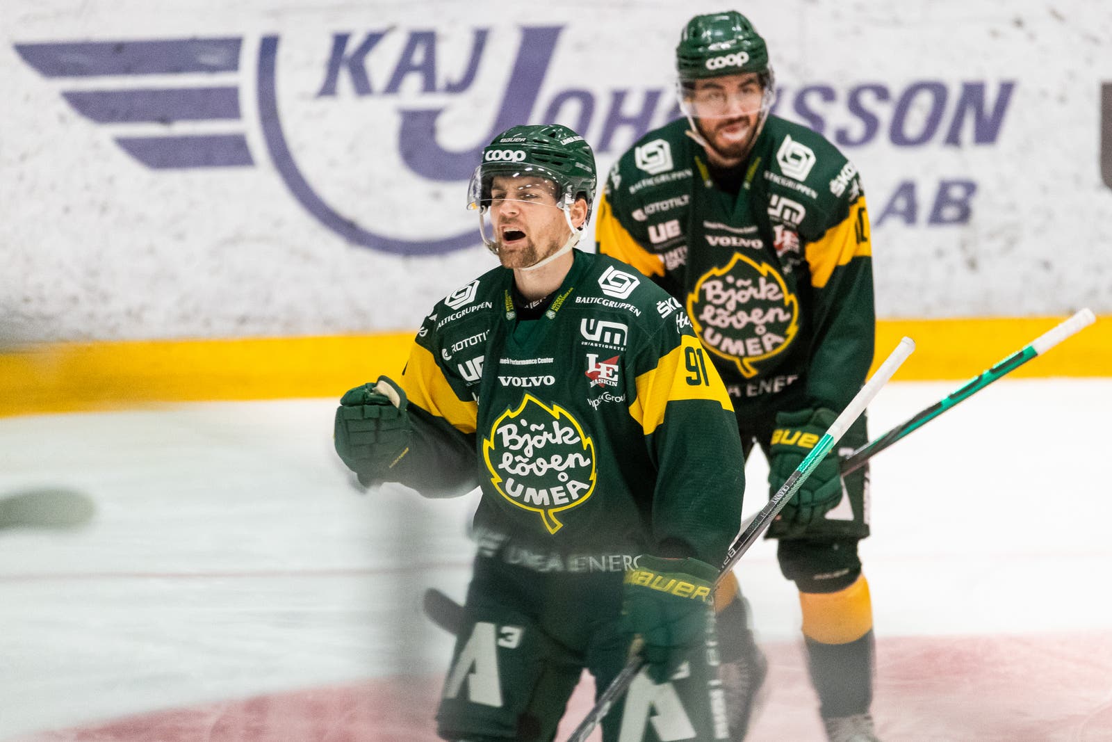 (18762) Björklöven