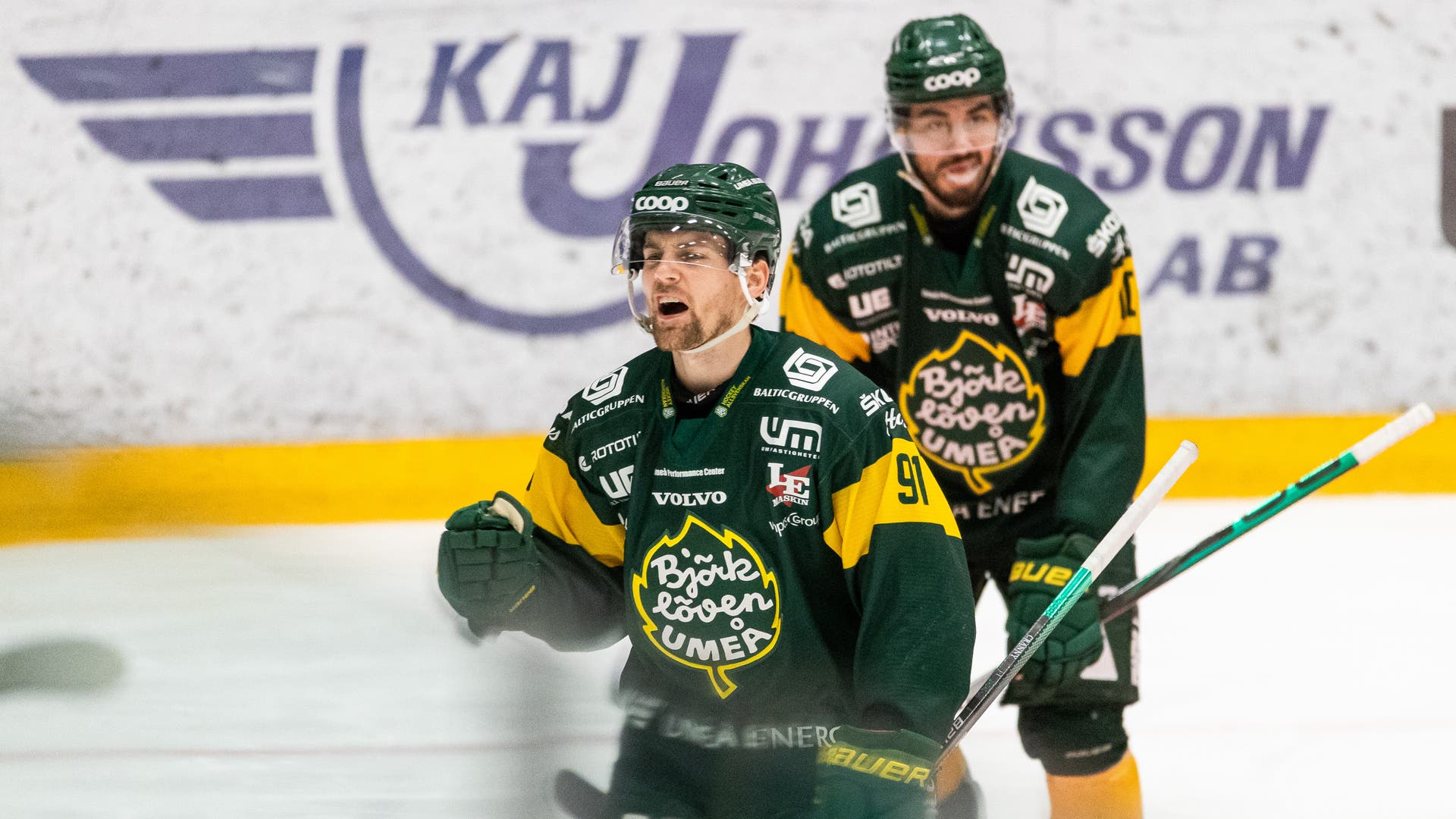 (18762) Björklöven