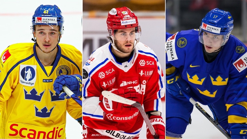 (21880) Timashov Åberg Eklund