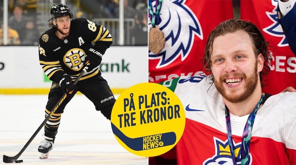 David Pastrnak