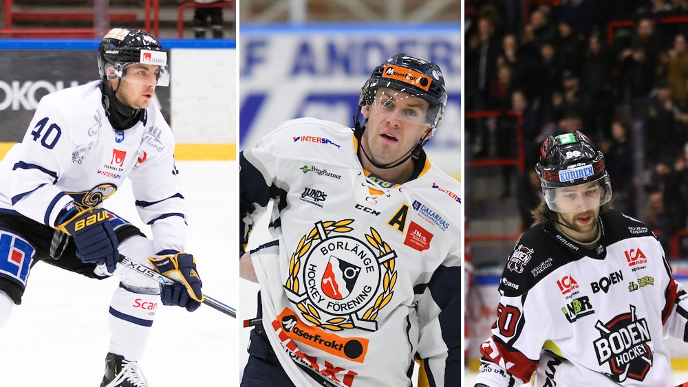 Montage Swe Press Photo