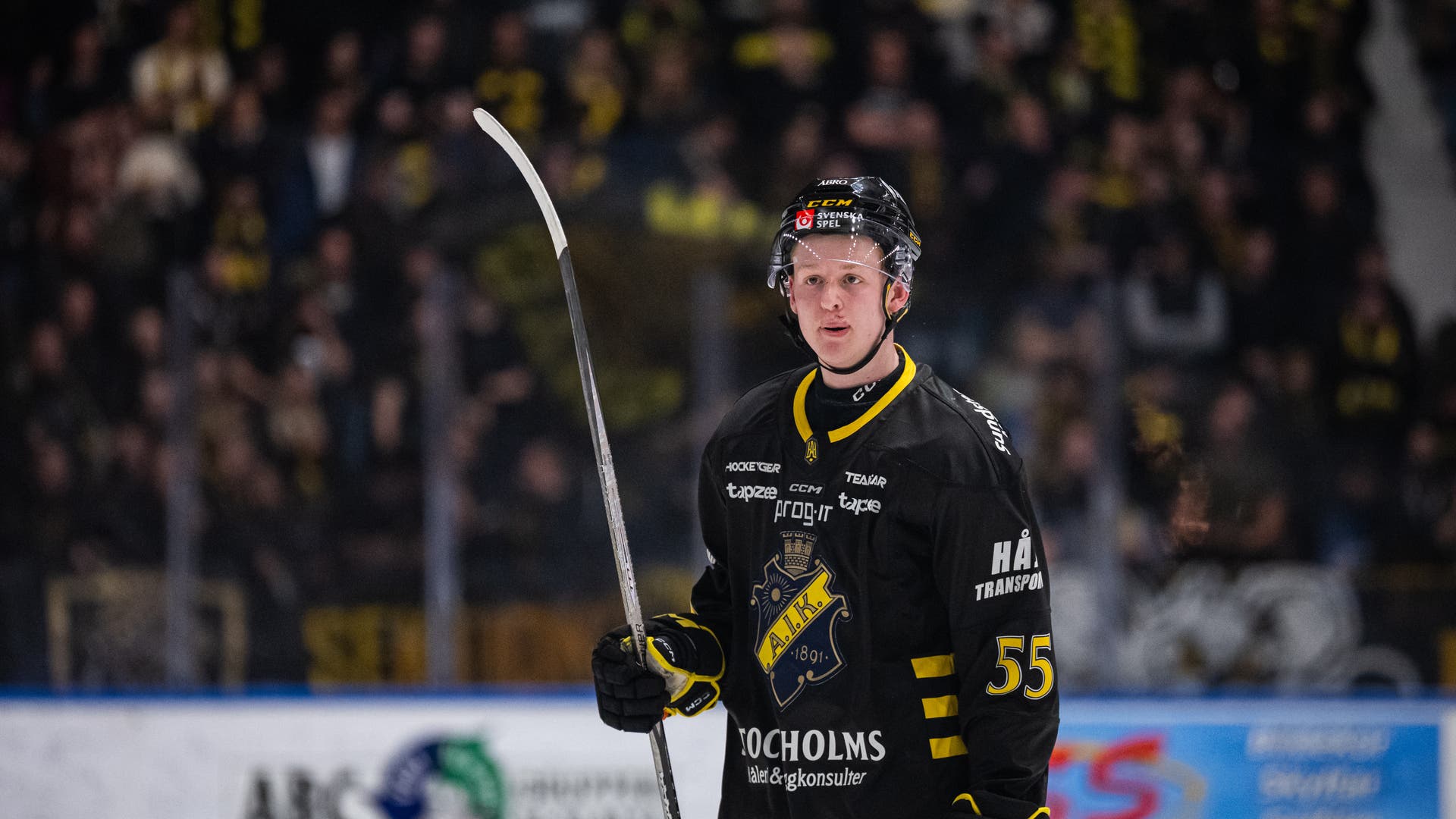 Viggo Gustafsson