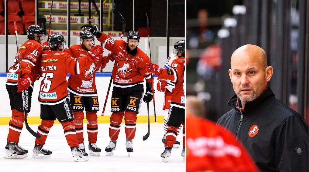 (20776) Vita Hästen/Tony Zabel