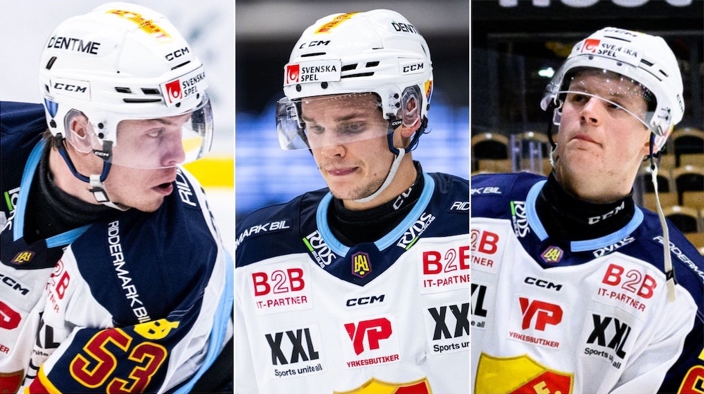 Blomgren Costmar Larsson