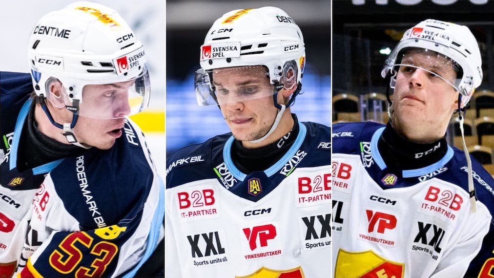 Blomgren Costmar Larsson