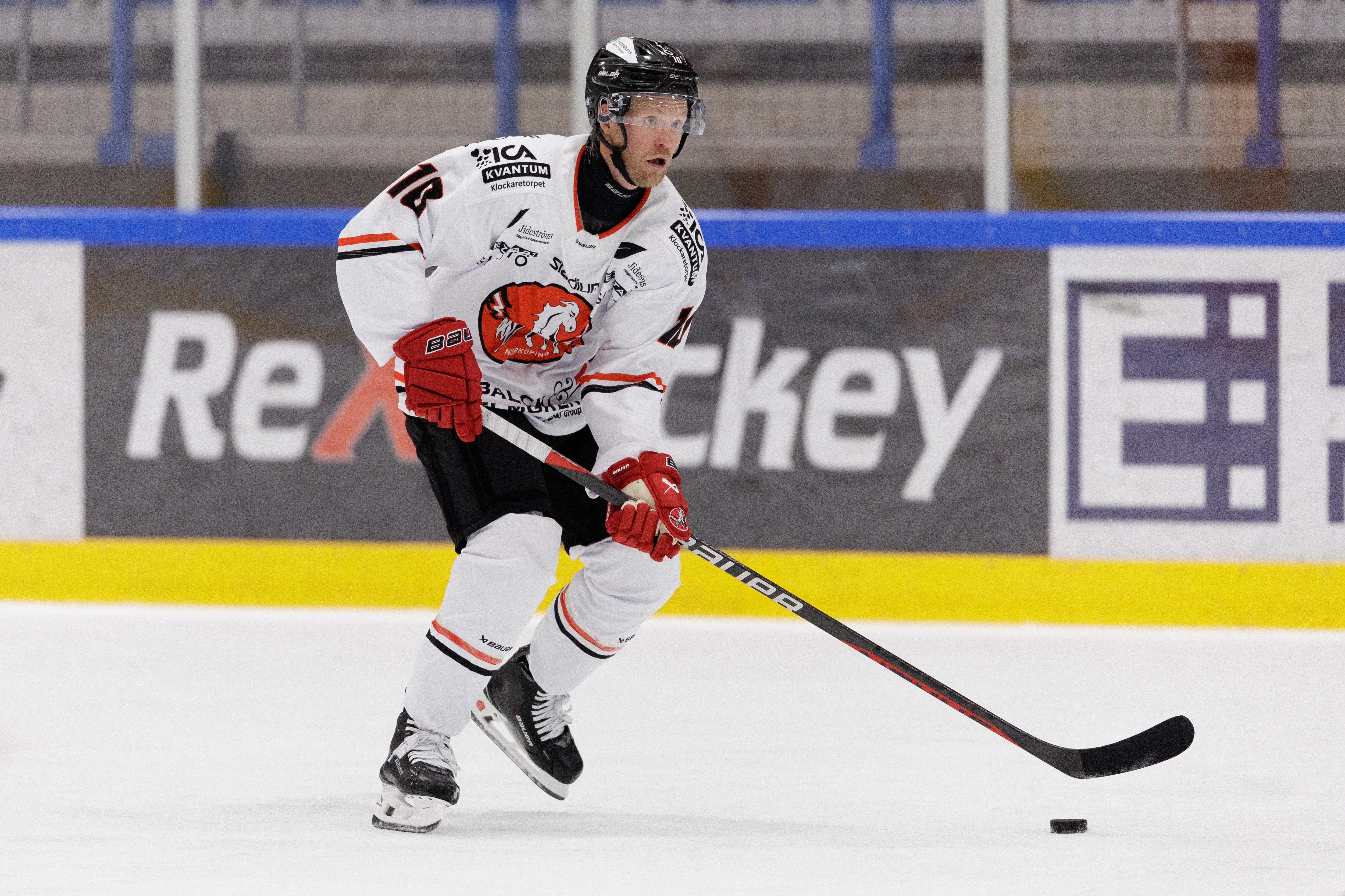 Jesper Samuelsson Vita Hästen