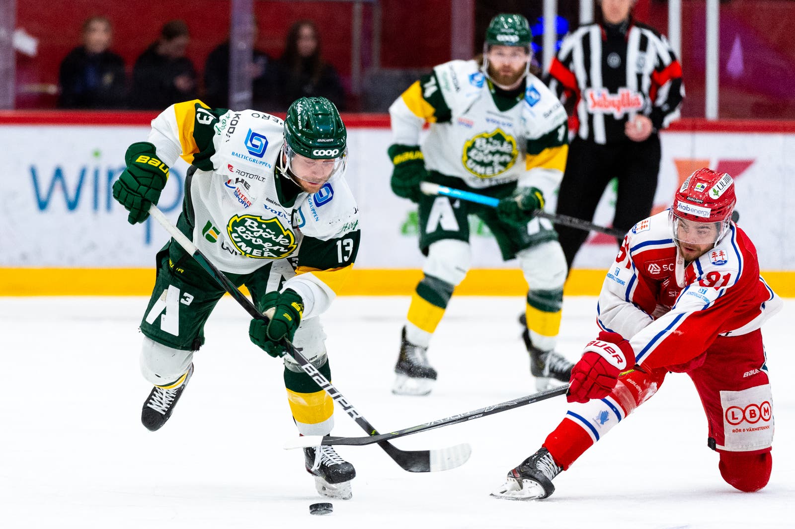 (19218) TimråBjörklöven