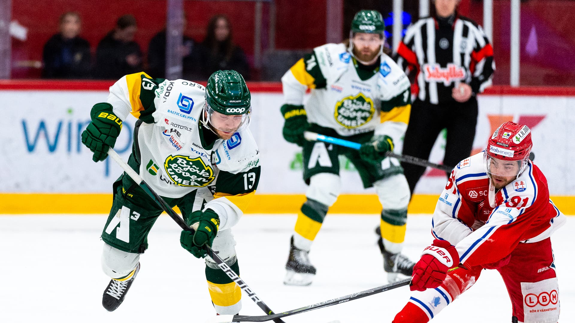 (19218) TimråBjörklöven