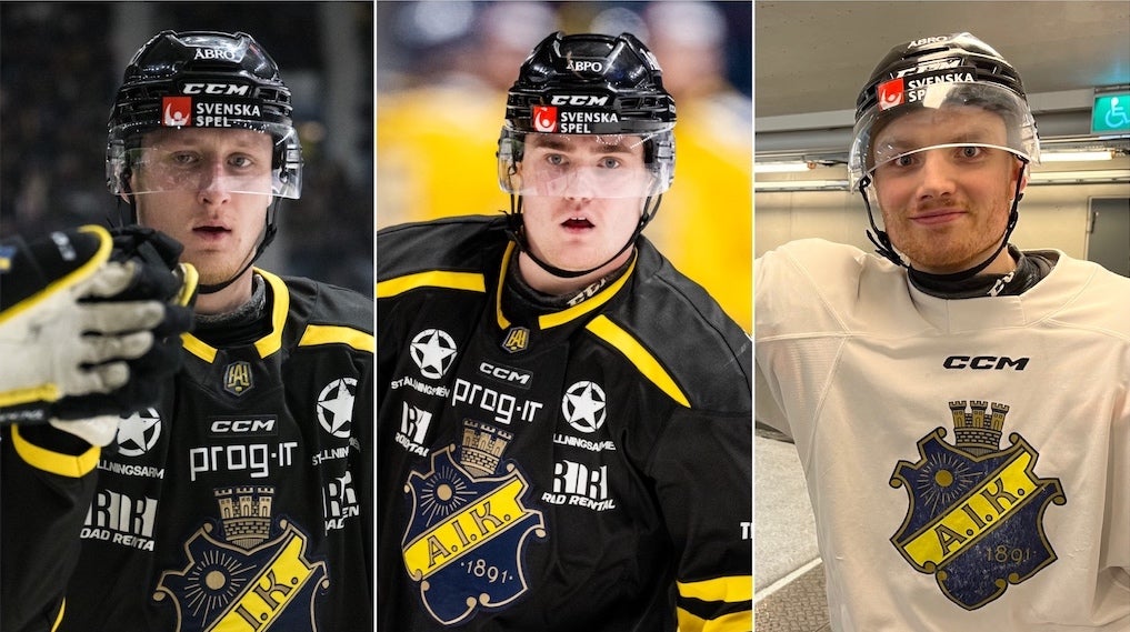 Magnusson Björk Ignberg Nilsson