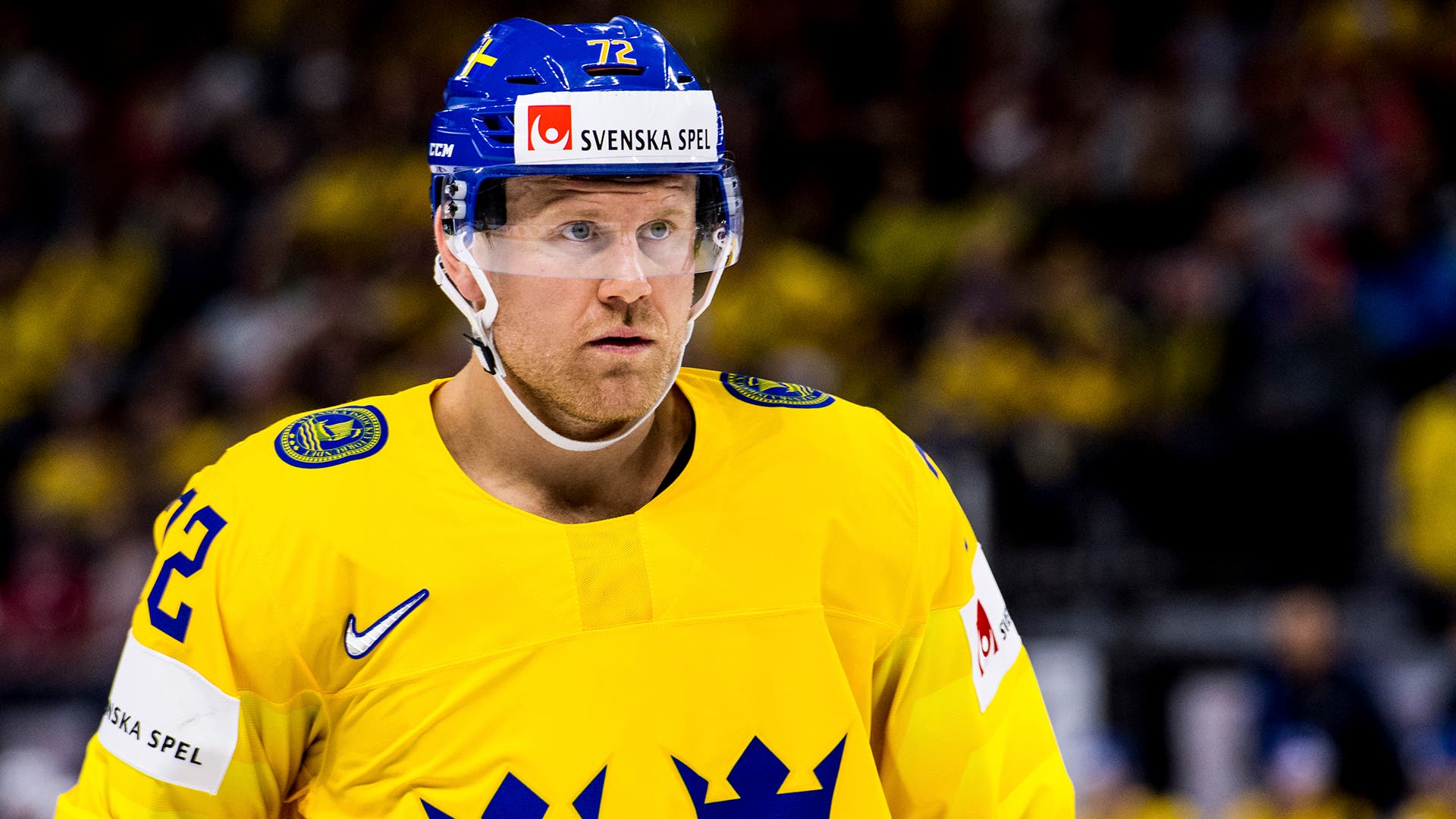 Petter Arvidson / Bildbyrån
