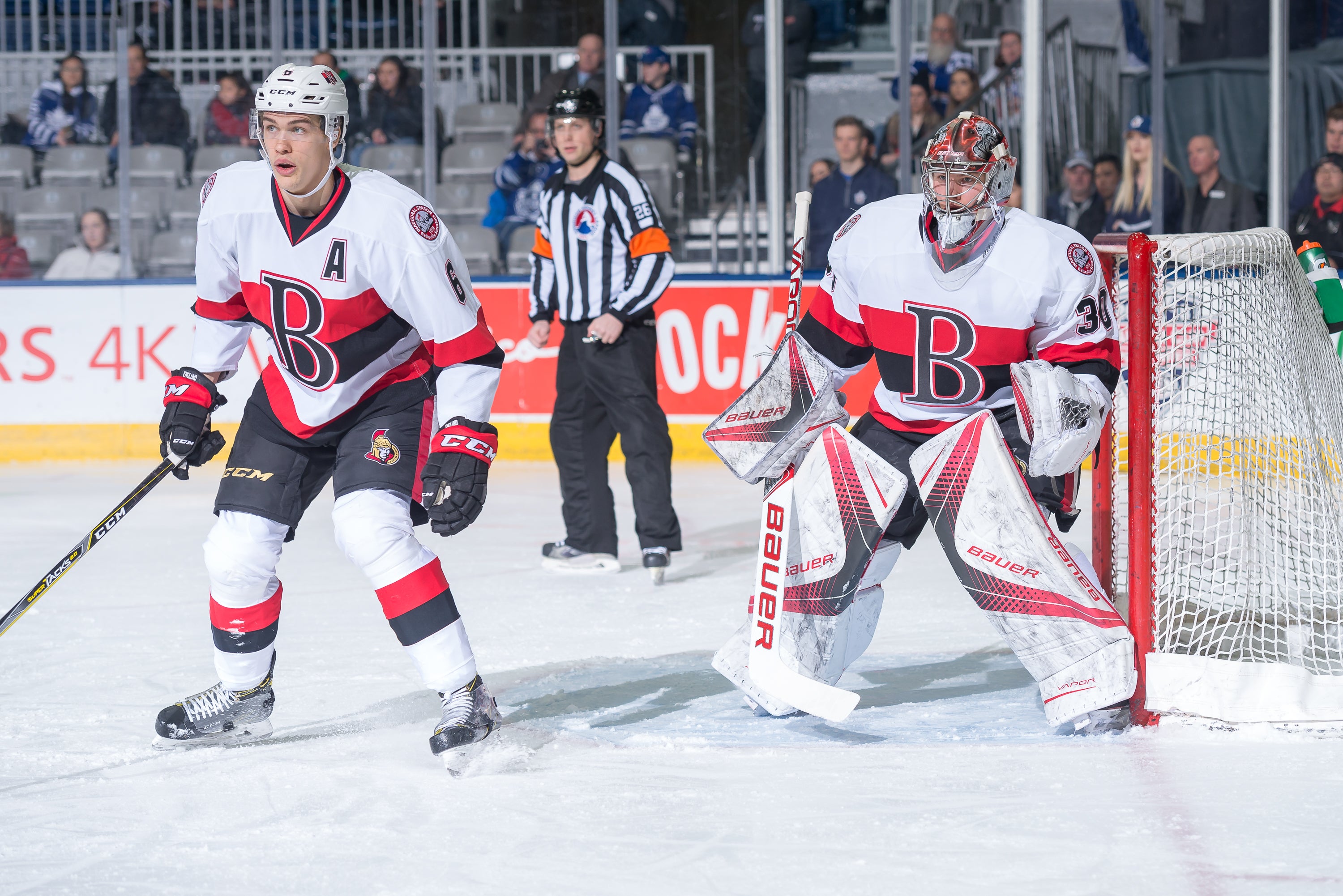 Christian Bonin / Toronto Marlies