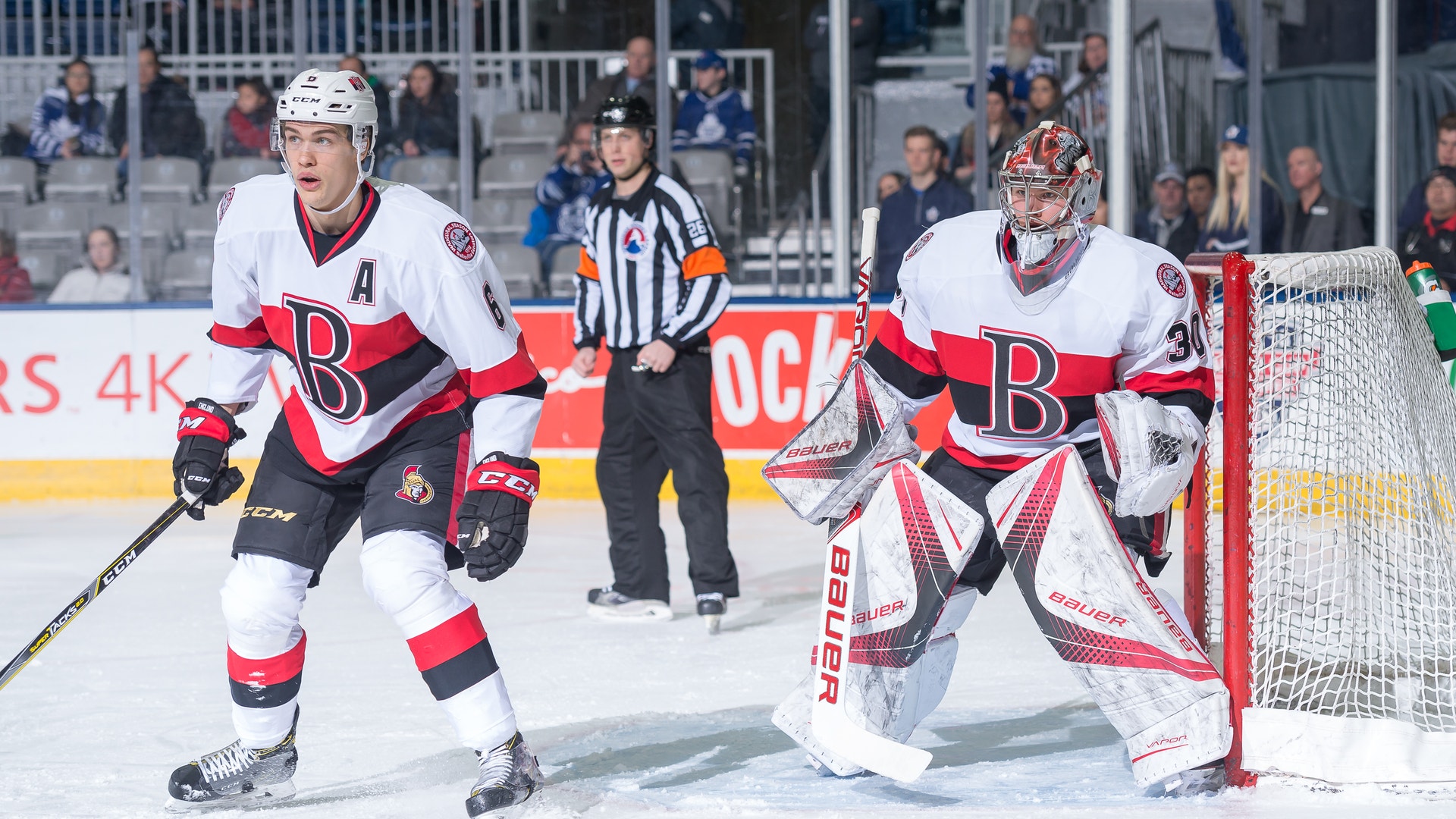 Christian Bonin / Toronto Marlies