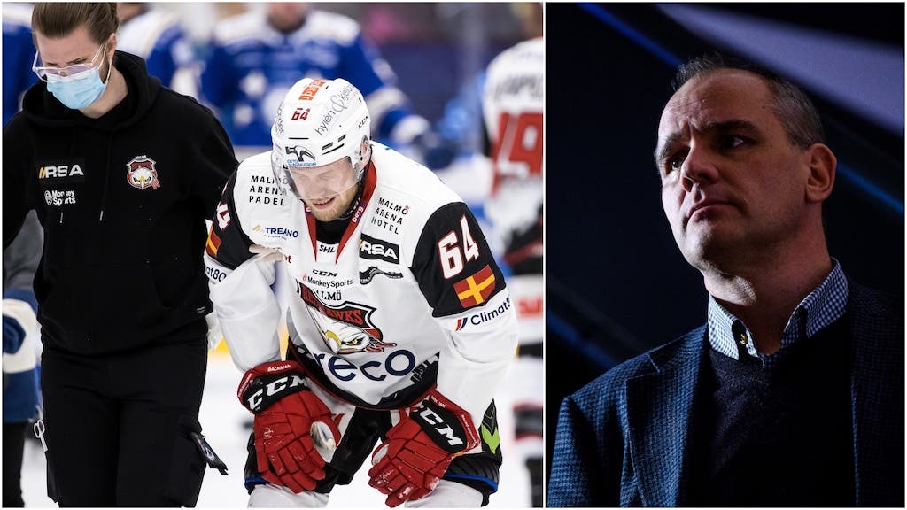 (20283) Hjärnskakningar SHL