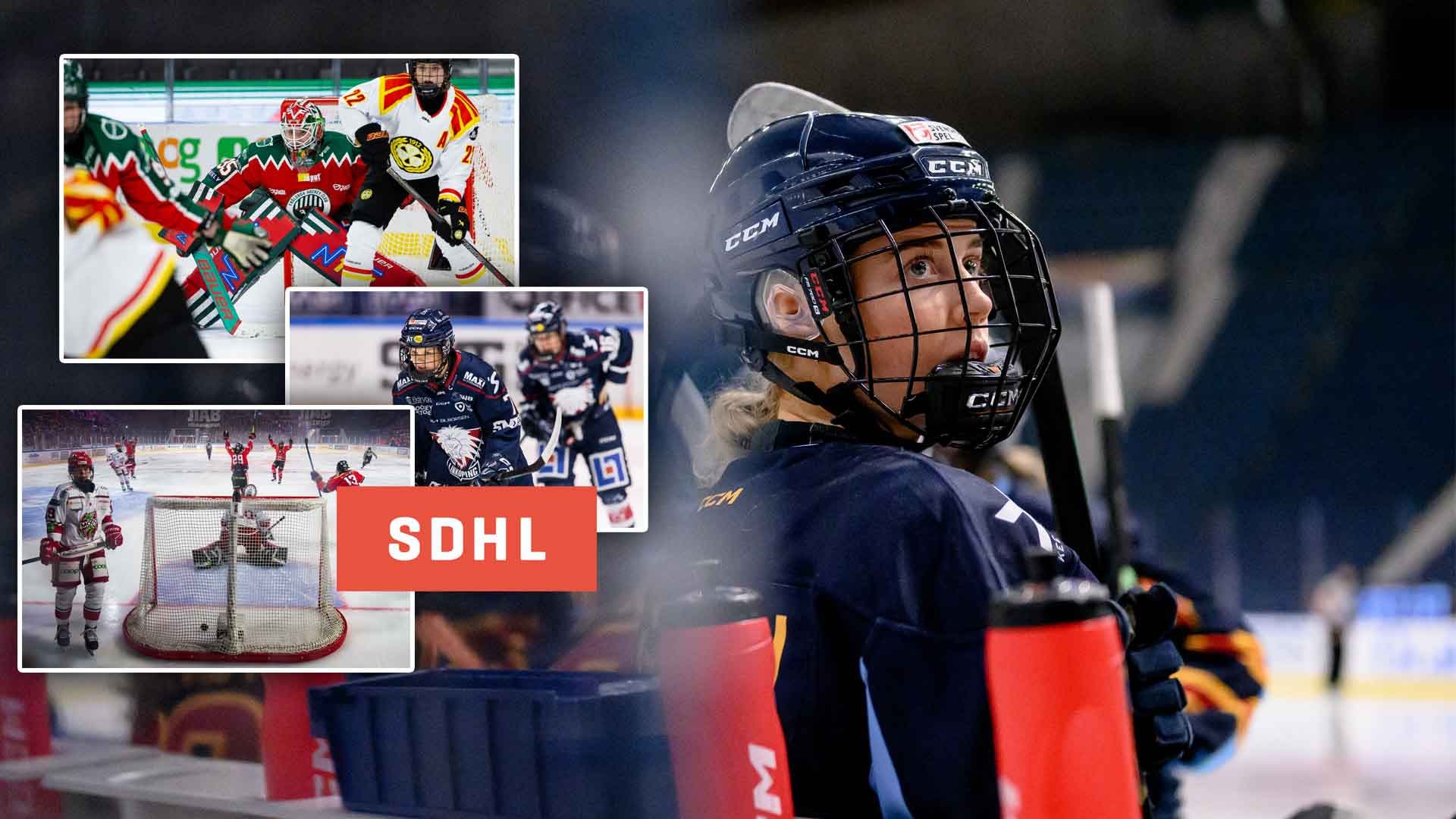 SDHL