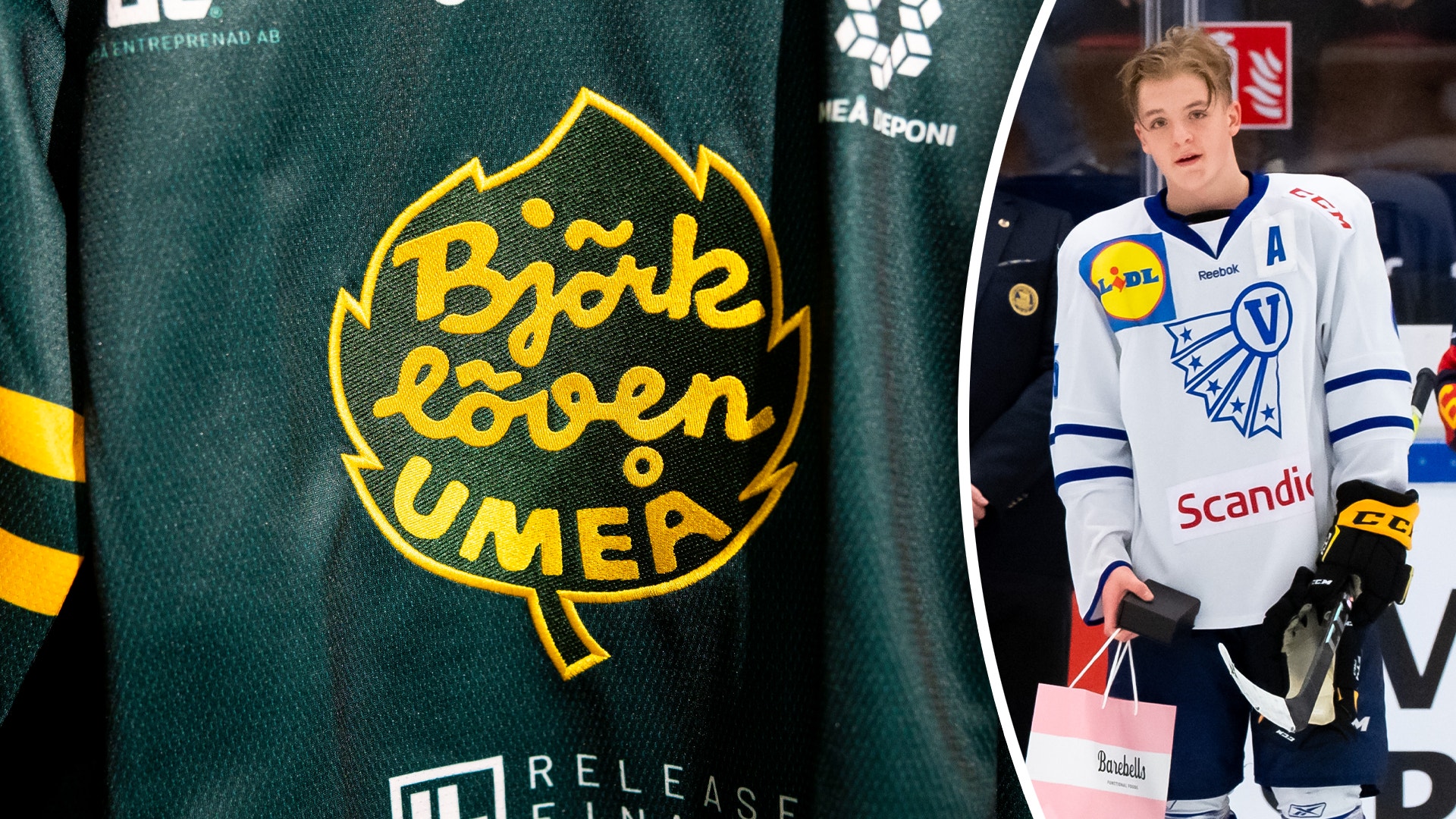 william larsson-nygren