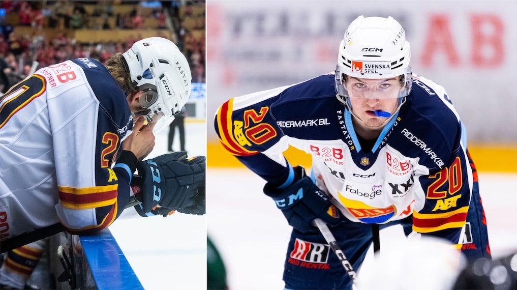 (29420) Calle Odelius