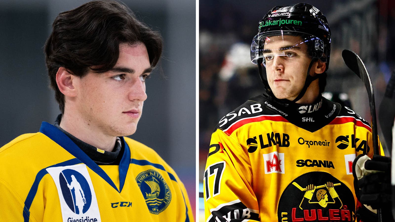 (31132) JOel Kant split