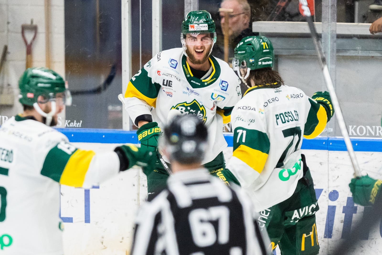 (24185) Björklöven