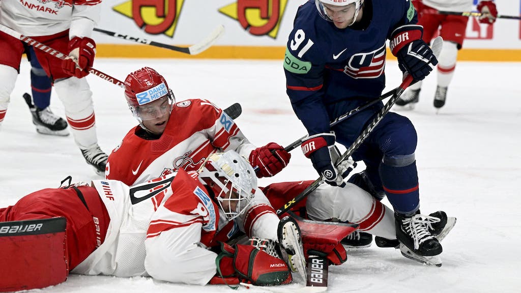 (28088) Frederik Dichow