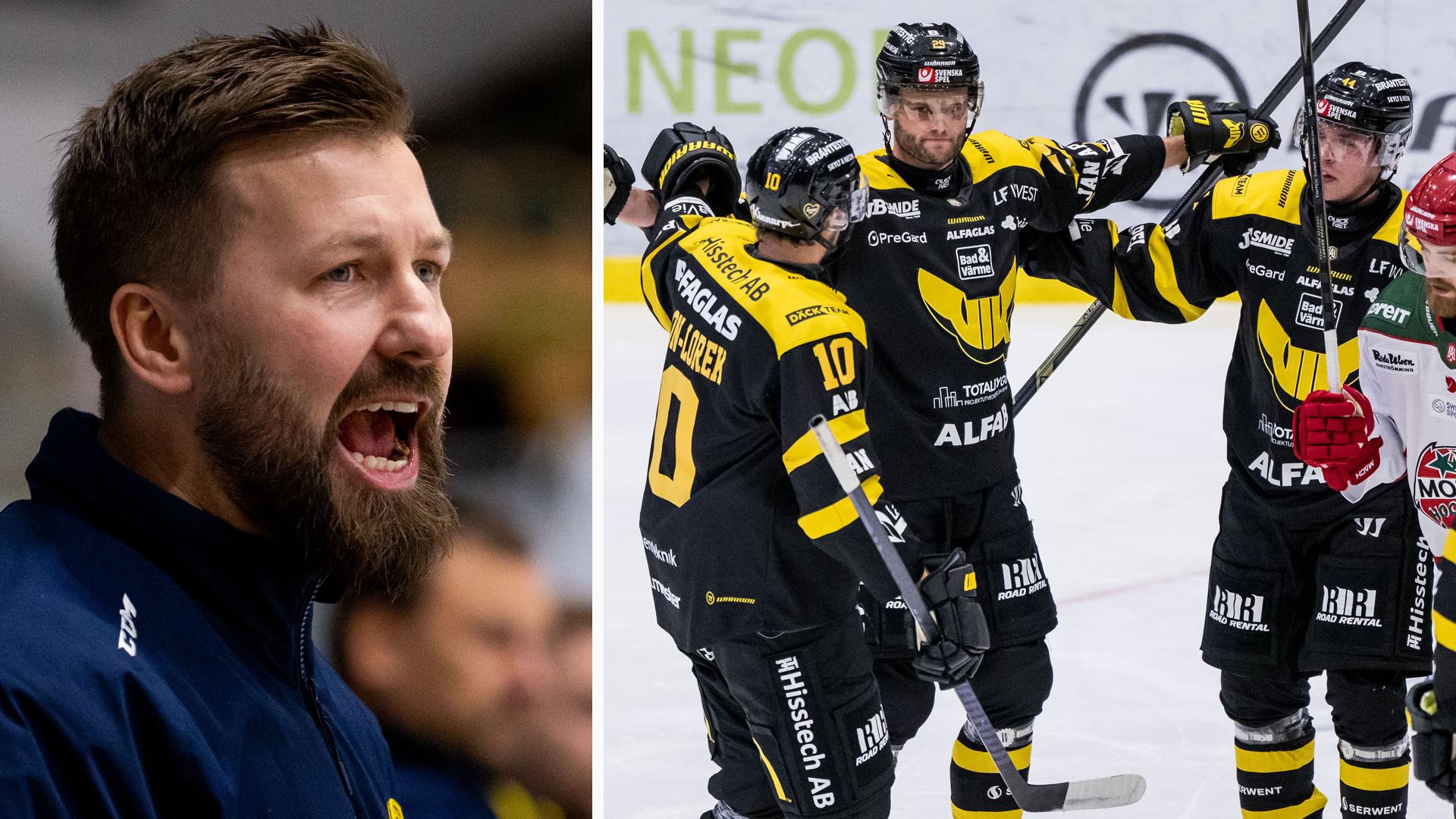 Per Ledin VIK