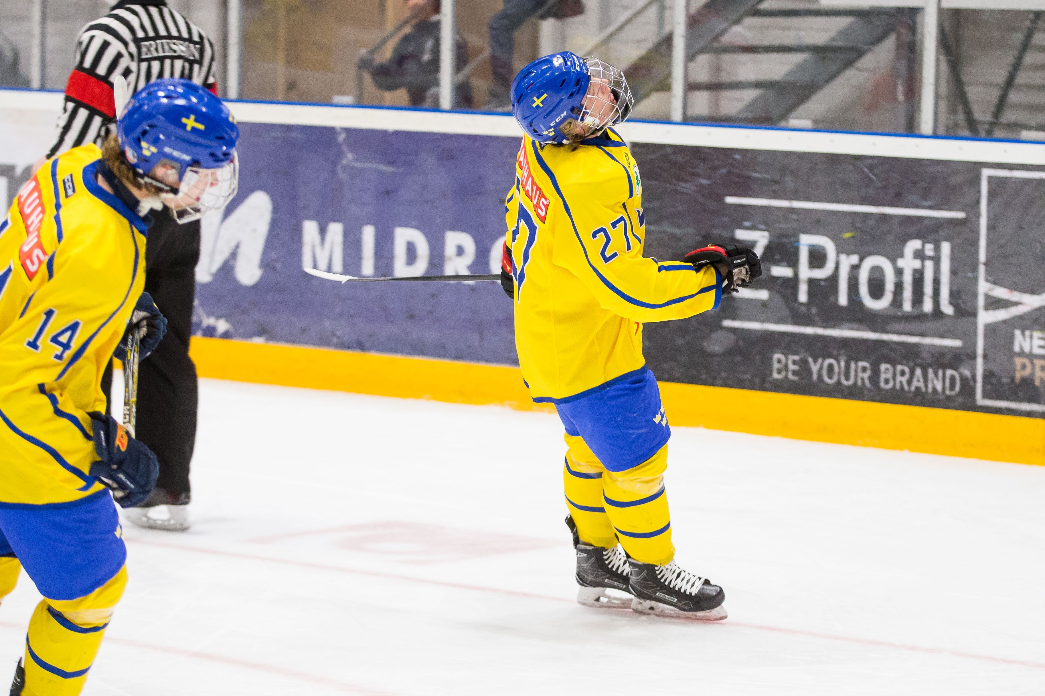 (25763) Småkronorna
