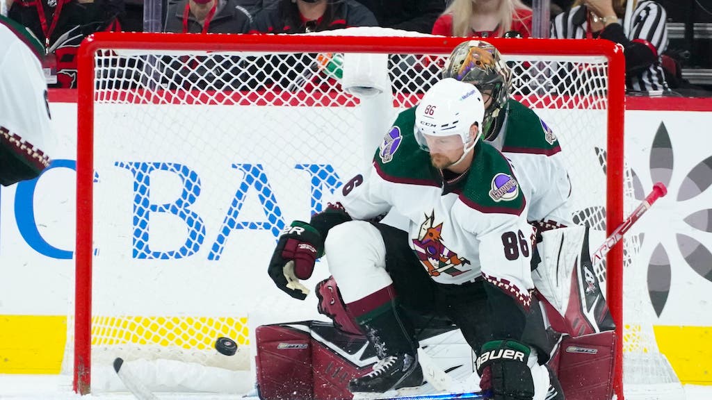 (24391) Anton Strålman Arizona