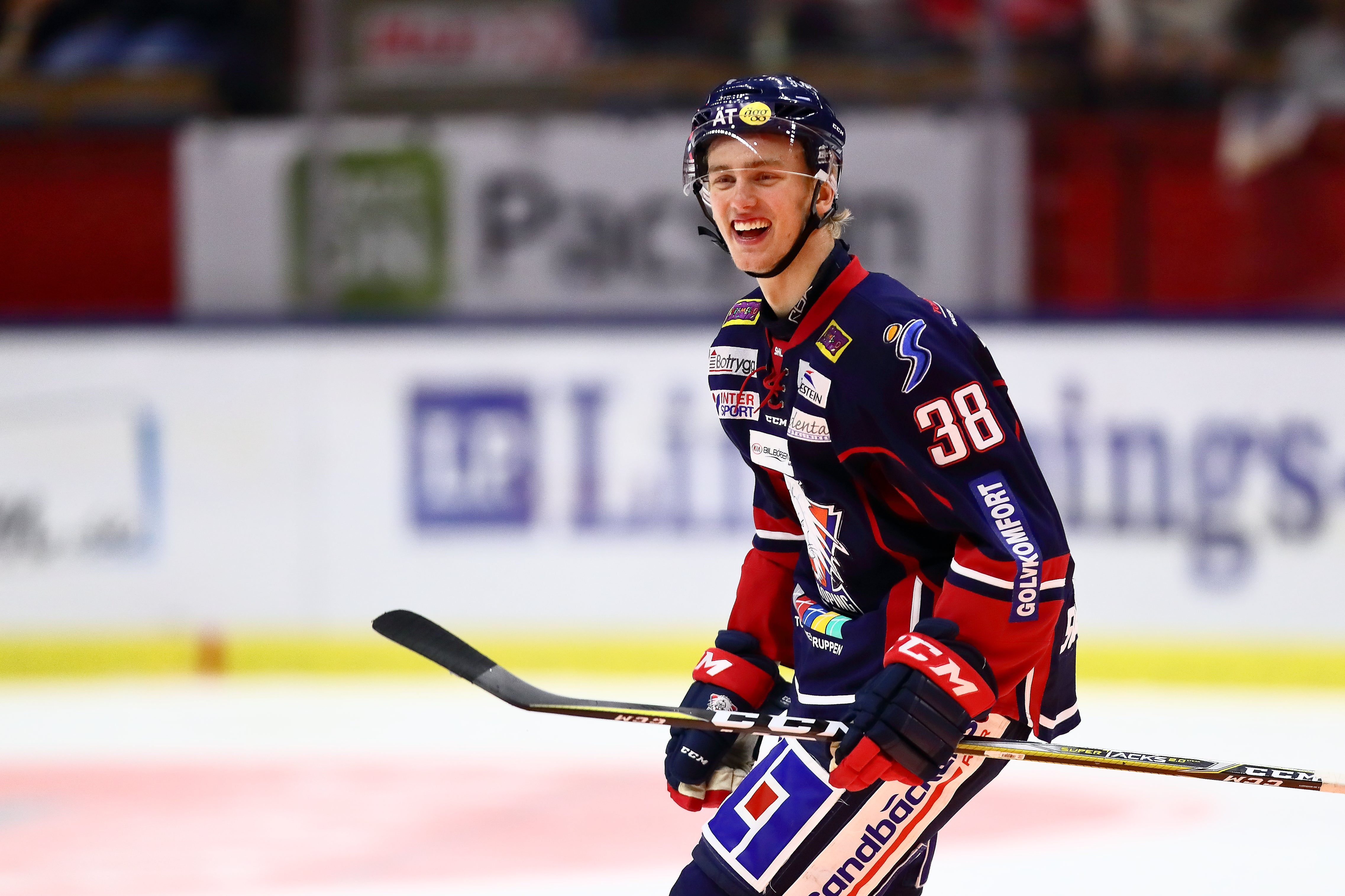 (4011) johan södergran