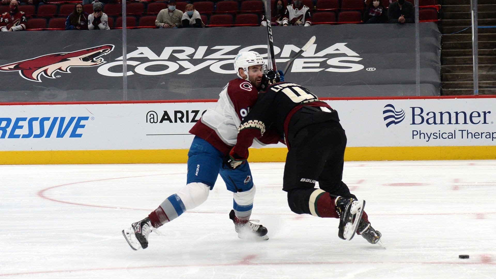 (20394) Arizona Coyotes