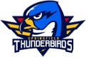 Springfield Thunderbirds