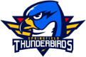 Springfield Thunderbirds